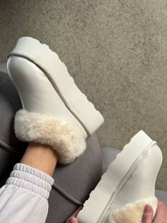 Категорія: Зима